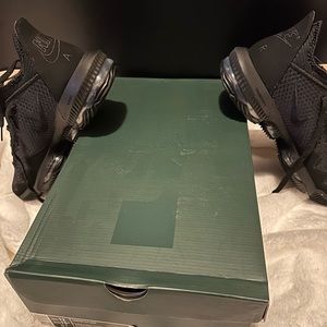 Brand new with bow lebrons